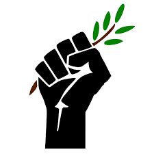 Green and Black Cross website thumbnail